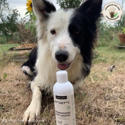 Shampooing Anti-Démangeaisons pour Chien et Chat bio 2