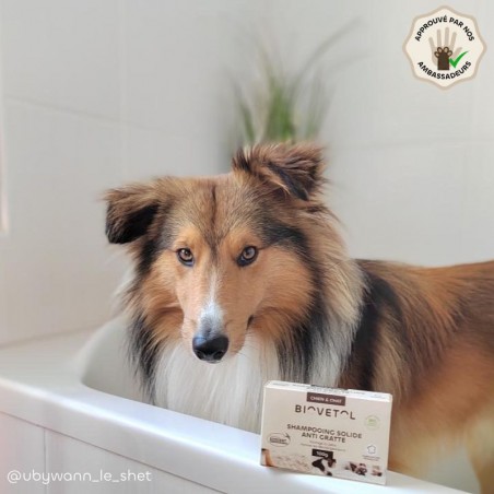 Shampooing Solide Anti-Gratte BIO – 100 g + Boîte | BIOVETOL