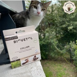 Collier anti-insectes pour chat 2