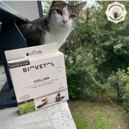 Collier anti-insectes pour chat ambassadeur