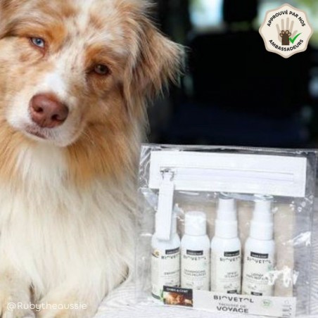 Trousse de Voyage Chien & Chat produits