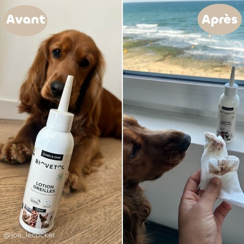 Lotion Nettoyante pour les Oreilles Chien et Chat produit