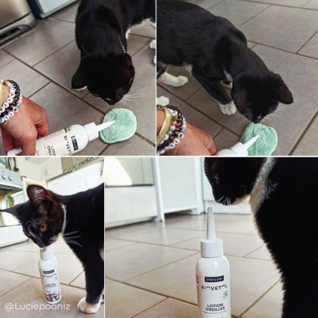 Lotion Nettoyante pour les Oreilles Chien et Chat ambassadeur