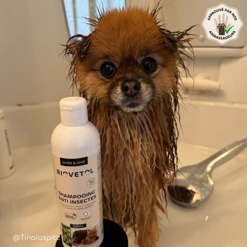 Shampooing anti-insectes chien et chat | Biovetol