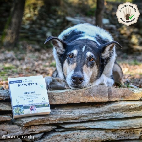 Pipettes anti-insectes pour chien moyen ambassadeur