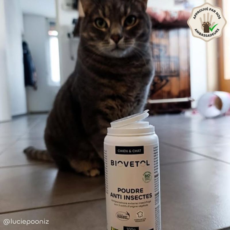 Poudre Anti-Insectes bio ambassadeur chat