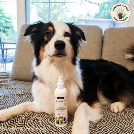 Lotion Anti-Odeurs pour Chien et Chat bio ambassadeur chien