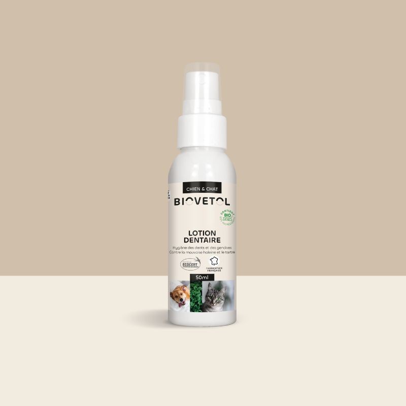 copy of Lotion Dentaire