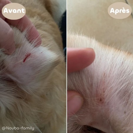 Biovetol Dermo'Gel pour chien et chat
