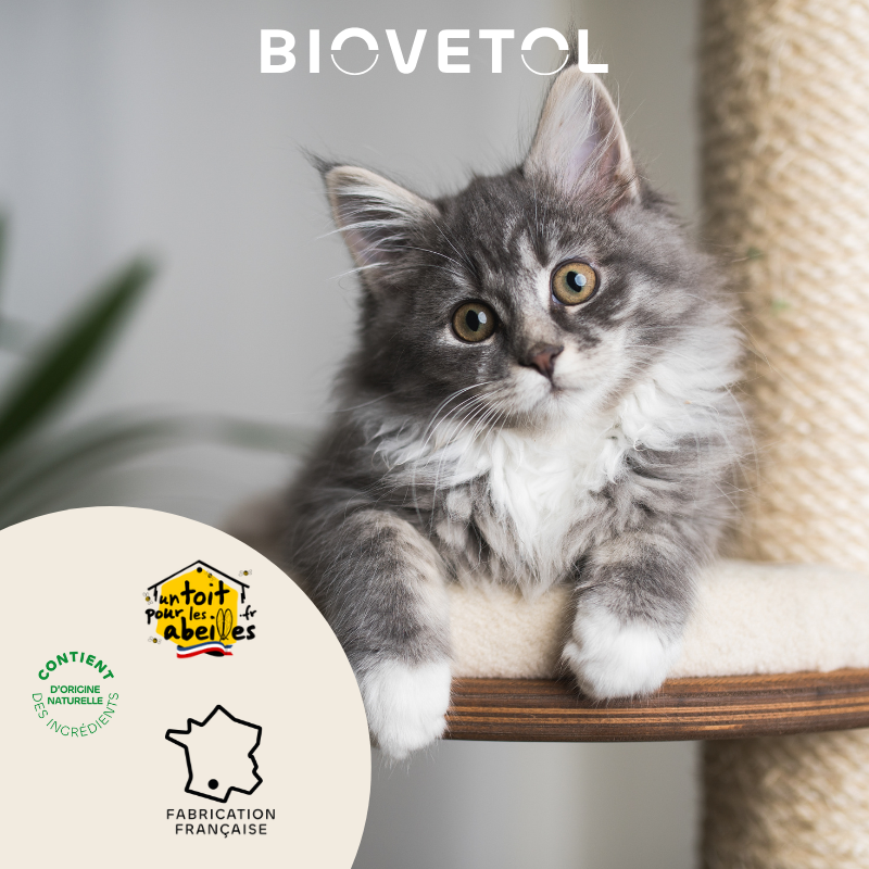 Biovetol Probiotiques bio REGUL’TRANSIT chien -10kg