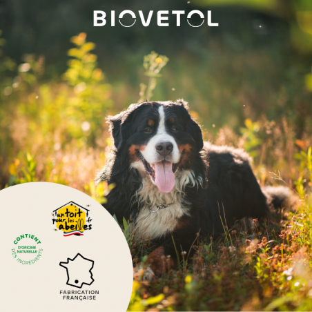Biovetol Probiotiques bio REGUL’TRANSIT Chien +10kg