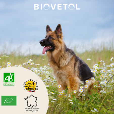 copy of Poudre ALT'VERS Grand Chien Bio***