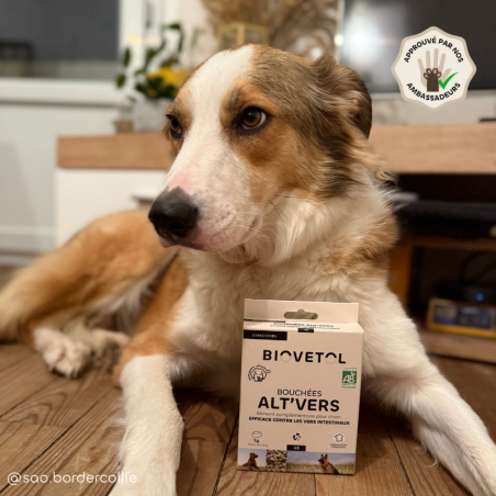 copy of Poudre ALT'VERS Grand Chien Bio***
