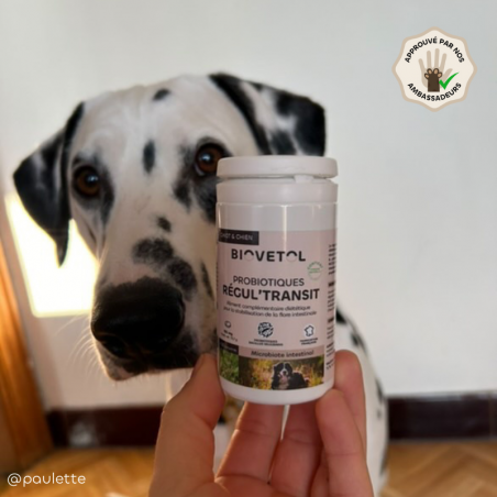 Biovetol Probiotiques bio REGUL’TRANSIT Chien +10kg