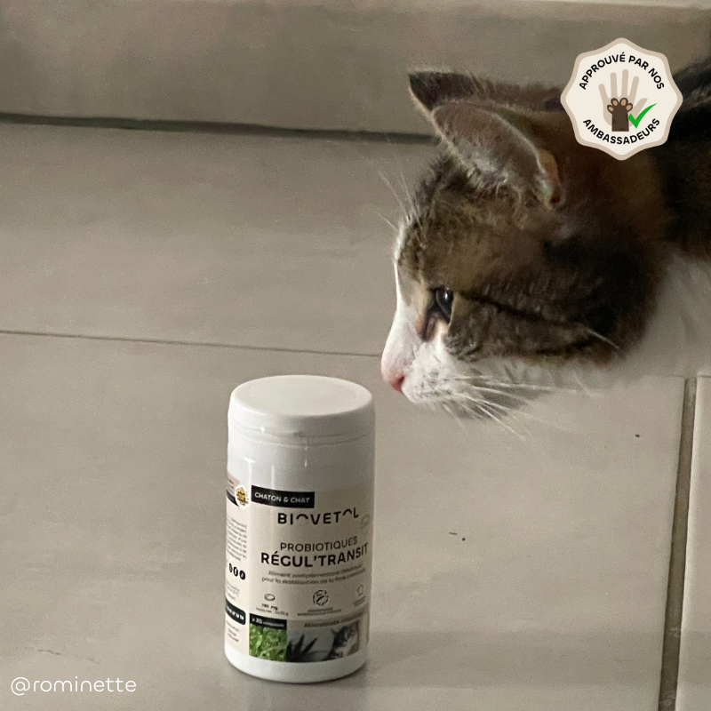 Biovetol Probiotiques bio REGUL’TRANSIT chien -10kg