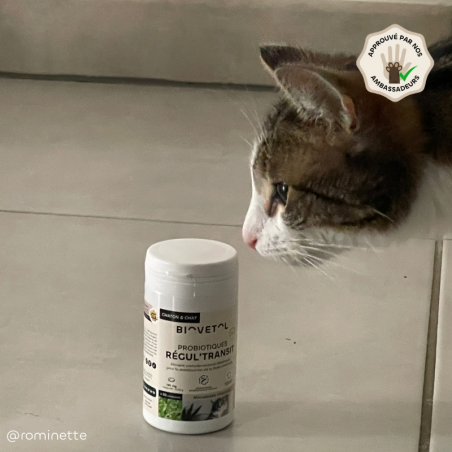 Biovetol Probiotiques bio REGUL’TRANSIT chien -10kg