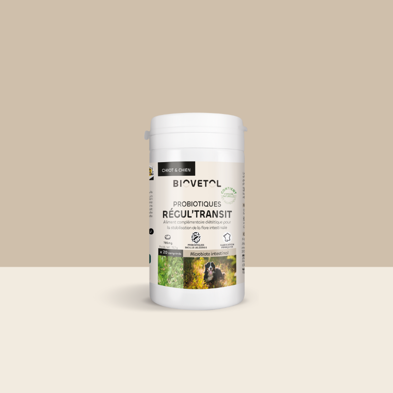 Biovetol Probiotiques bio REGUL’TRANSIT Chien +10kg