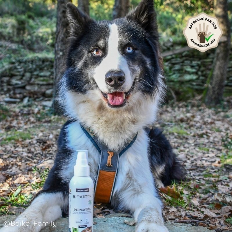 Dermo'Gel Apaisant pour Chien et Chat bio – Peau irritée et démangeaisons ambassadeur
