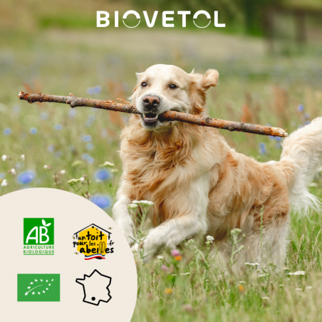 Biovetol Probiotiques bio REGUL’TRANSIT chien -10kg