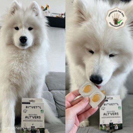 copy of Poudre ALT'VERS Petit Chien Bio***