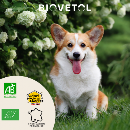 copy of Poudre ALT'VERS Petit Chien Bio***