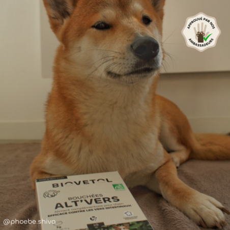 copy of Poudre ALT'VERS Petit Chien Bio***