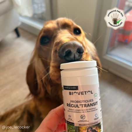 Biovetol Probiotiques bio REGUL’TRANSIT Chien +10kg