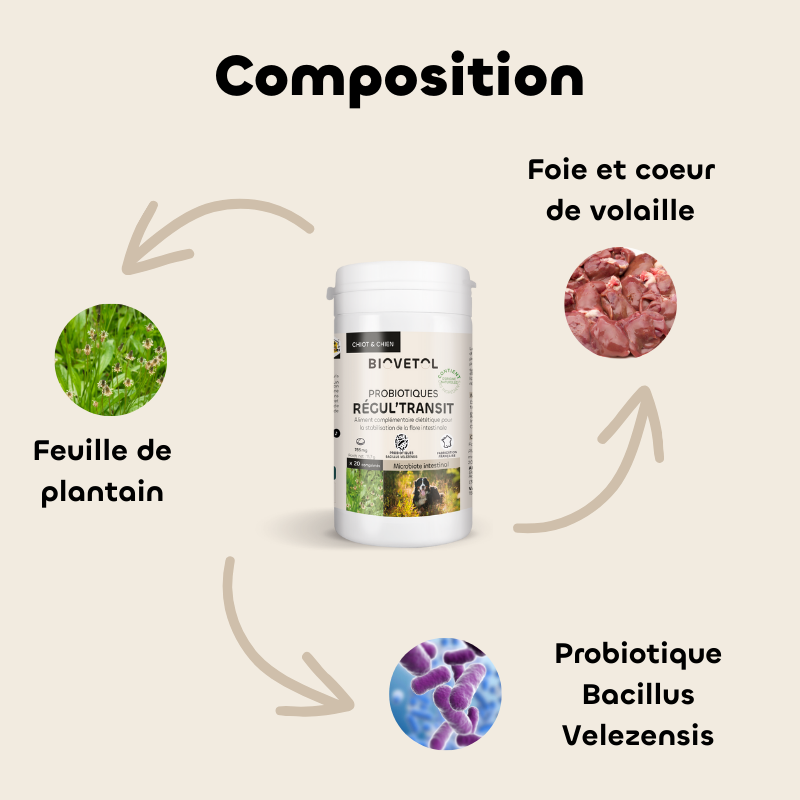 Biovetol Probiotiques bio REGUL’TRANSIT Chien +10kg