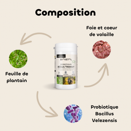 Biovetol Probiotiques bio REGUL’TRANSIT Chien +10kg