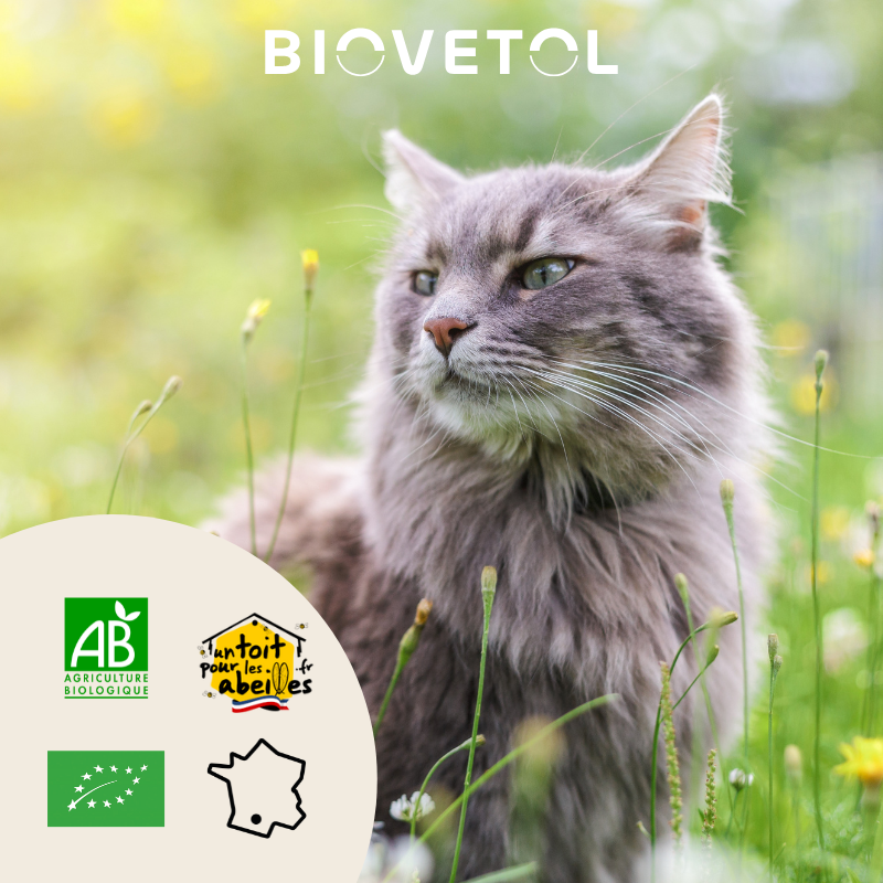 Biovetol Probiotiques bio REGUL’TRANSIT chien -10kg