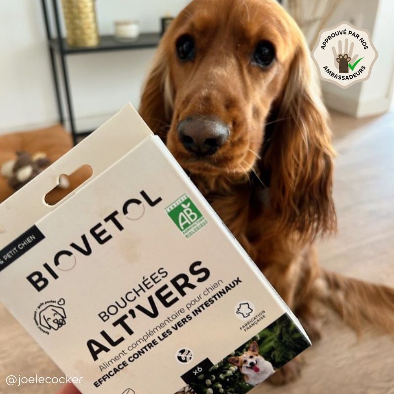 copy of Poudre ALT'VERS Petit Chien Bio***