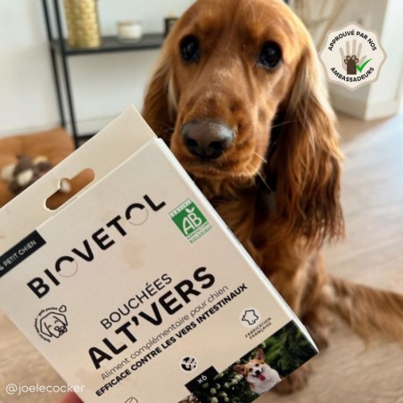 copy of Poudre ALT'VERS Petit Chien Bio***