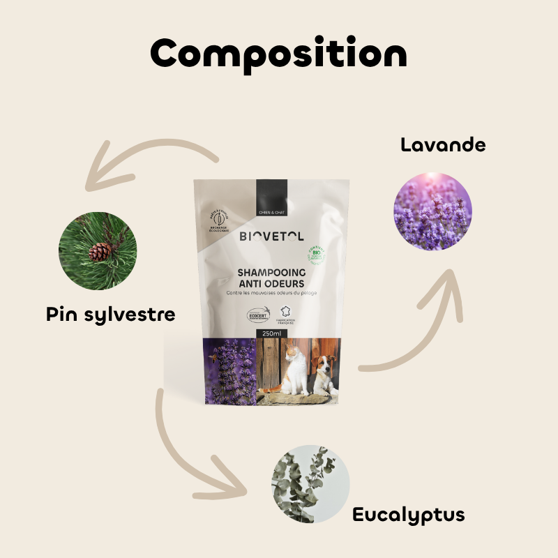 Recharge Shampooing Anti-Odeurs pour Chien et Chat bio composition