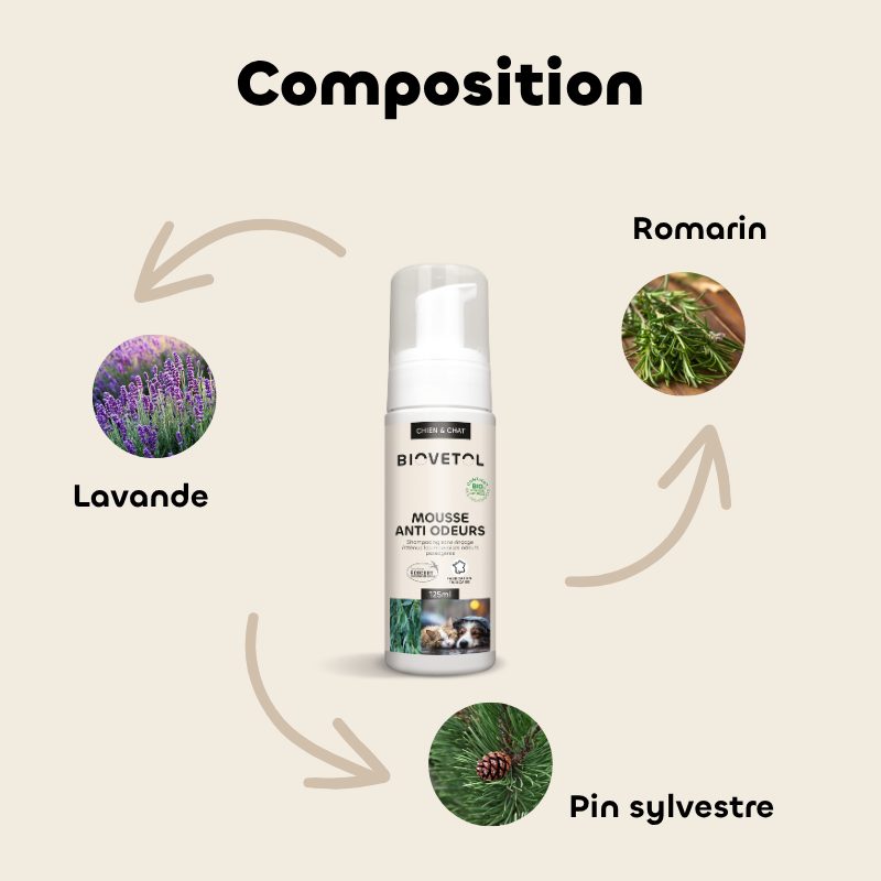 Shampooing Sec Anti-Odeurs pour Chien et Chat – Mousse Sans Rinçage bio composition