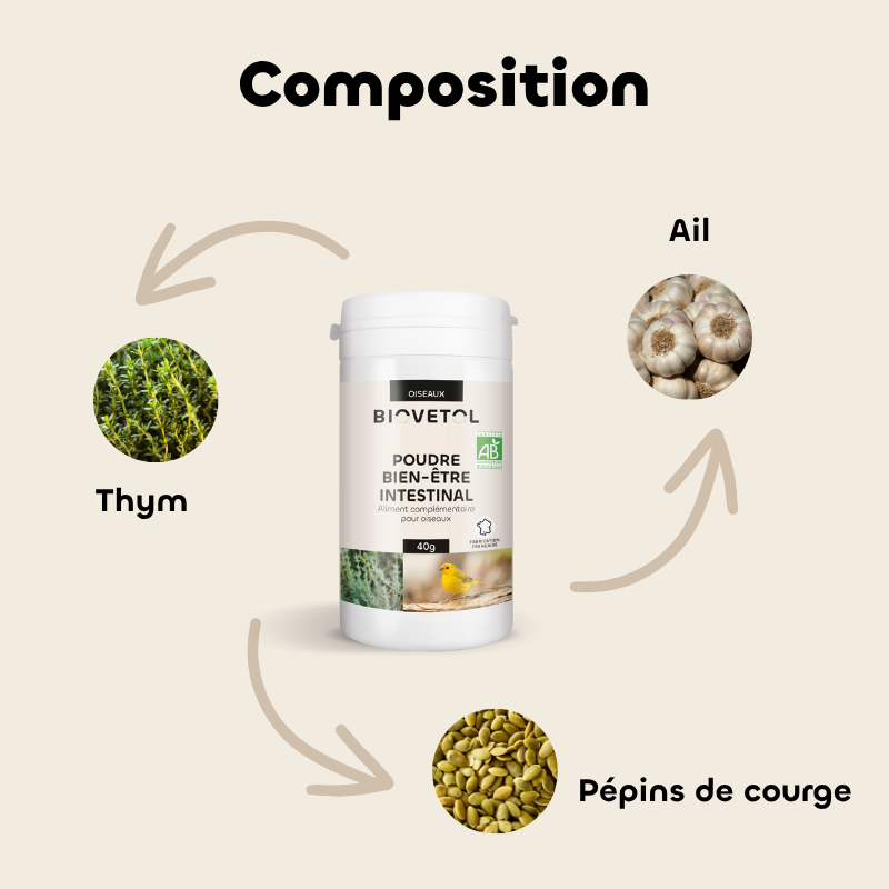 Poudre Bien-Être Intestinal pour Oiseaux bio composition