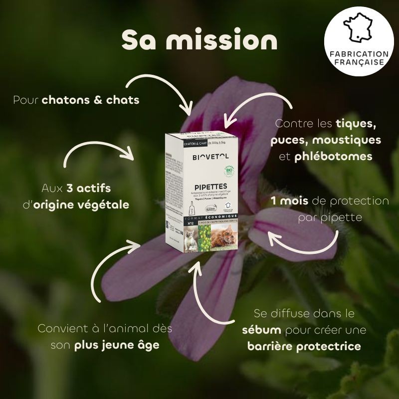 Pipettes anti-insectes Chat & Chaton bio – 12 pipettes | Format économique bienfaits