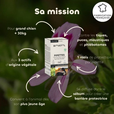 Pipettes anti-insectes Grand Chien +30 kg bio – 12 pipettes | Format économique bienfaits