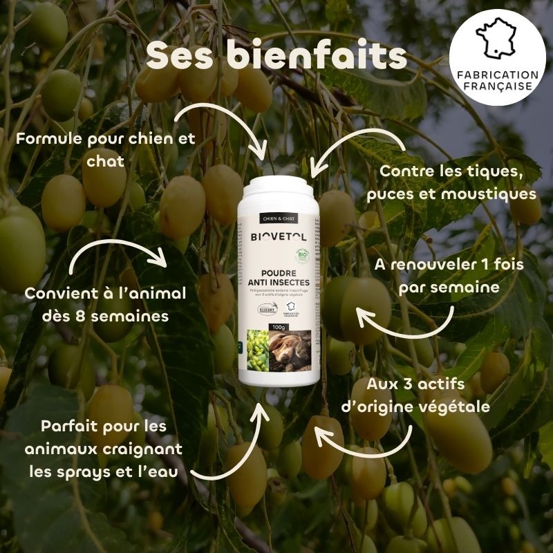 Poudre Anti-Insectes bio bienfaits