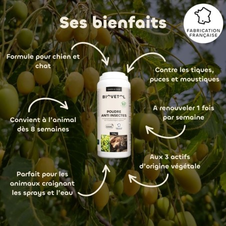 Poudre Anti-Insectes bio bienfaits