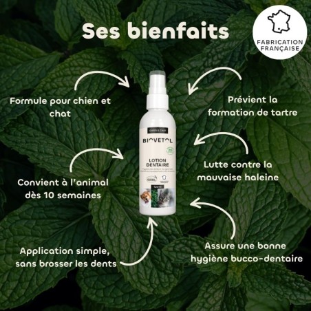 Lotion Dentaire pour Chien et Chat – Anti-tartre et mauvaise haleine bio bienfaits