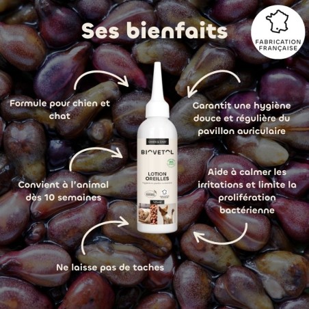 Lotion Nettoyante pour les Oreilles Chien et Chat bienfaits