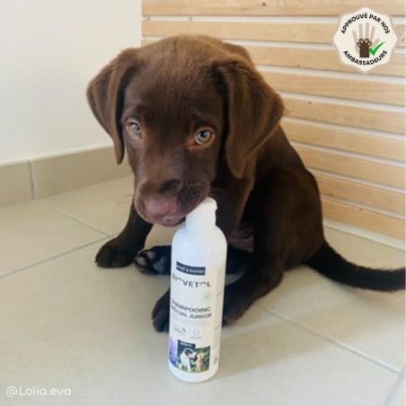 Shampooing Chiot et Chaton – Spéciale Junior bio ambassadeur