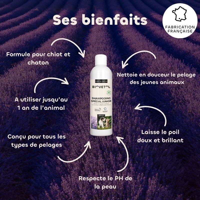 Shampooing Chiot et Chaton – Spéciale Junior bio bienfaits