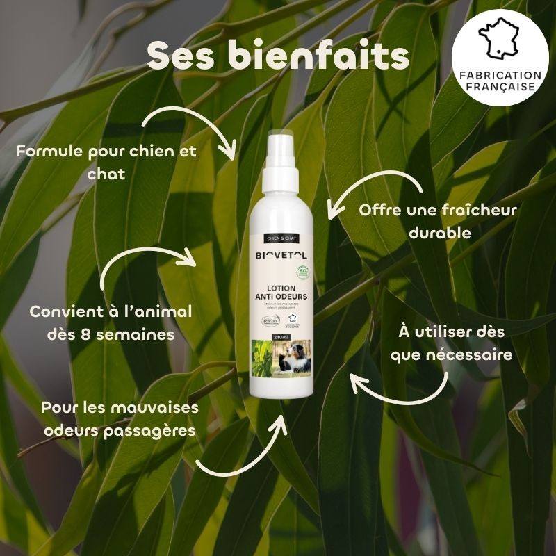 Lotion Anti-Odeurs pour Chien et Chat bio bienfaits