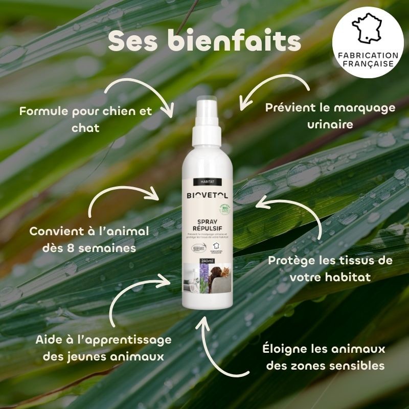 Spray Répulsif Chien & Chat bio bienfaits