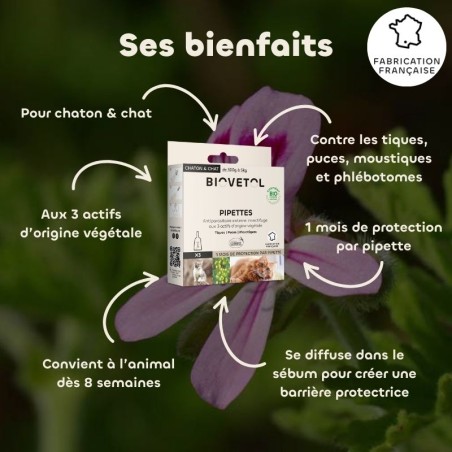 Pipettes anti-insectes pour chat et chaton bio bienfaits