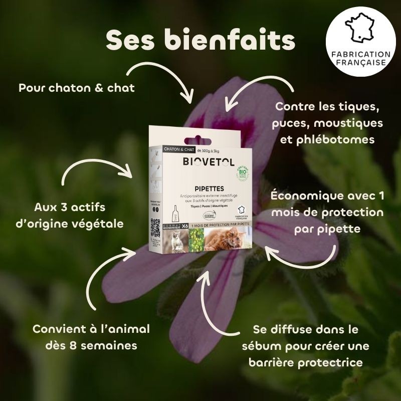 Biovetol- Pipettes antiparasitaire pour chaton et chat bio
