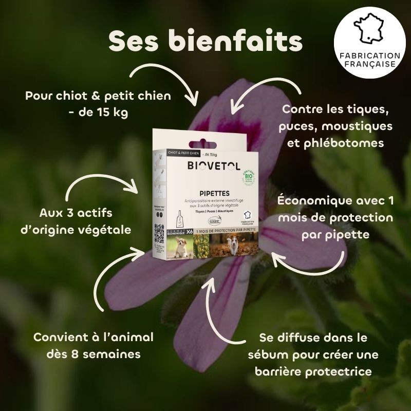 Pipettes anti-insectes pour chiot et petit chien bio bienfaits