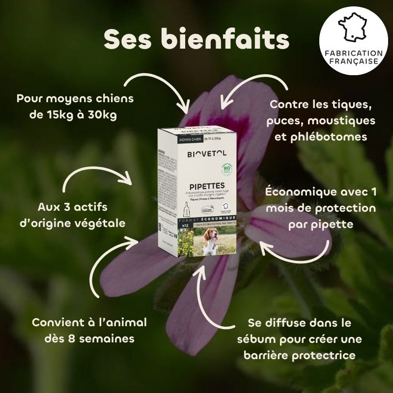 Biovetol- Pipettes antiparasitaire pour moyen chien bio - puce tiques et moustiques