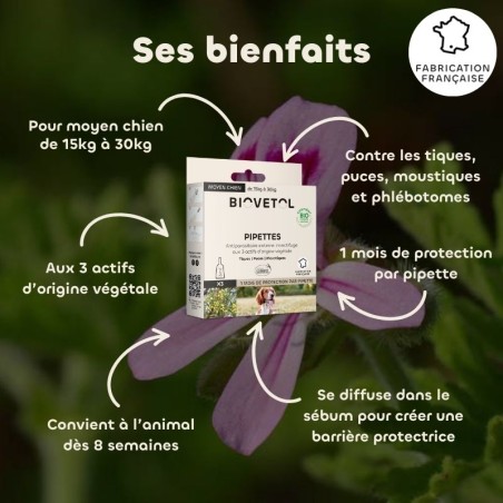 Pipettes anti-insectes pour chien moyen ses bienfaits